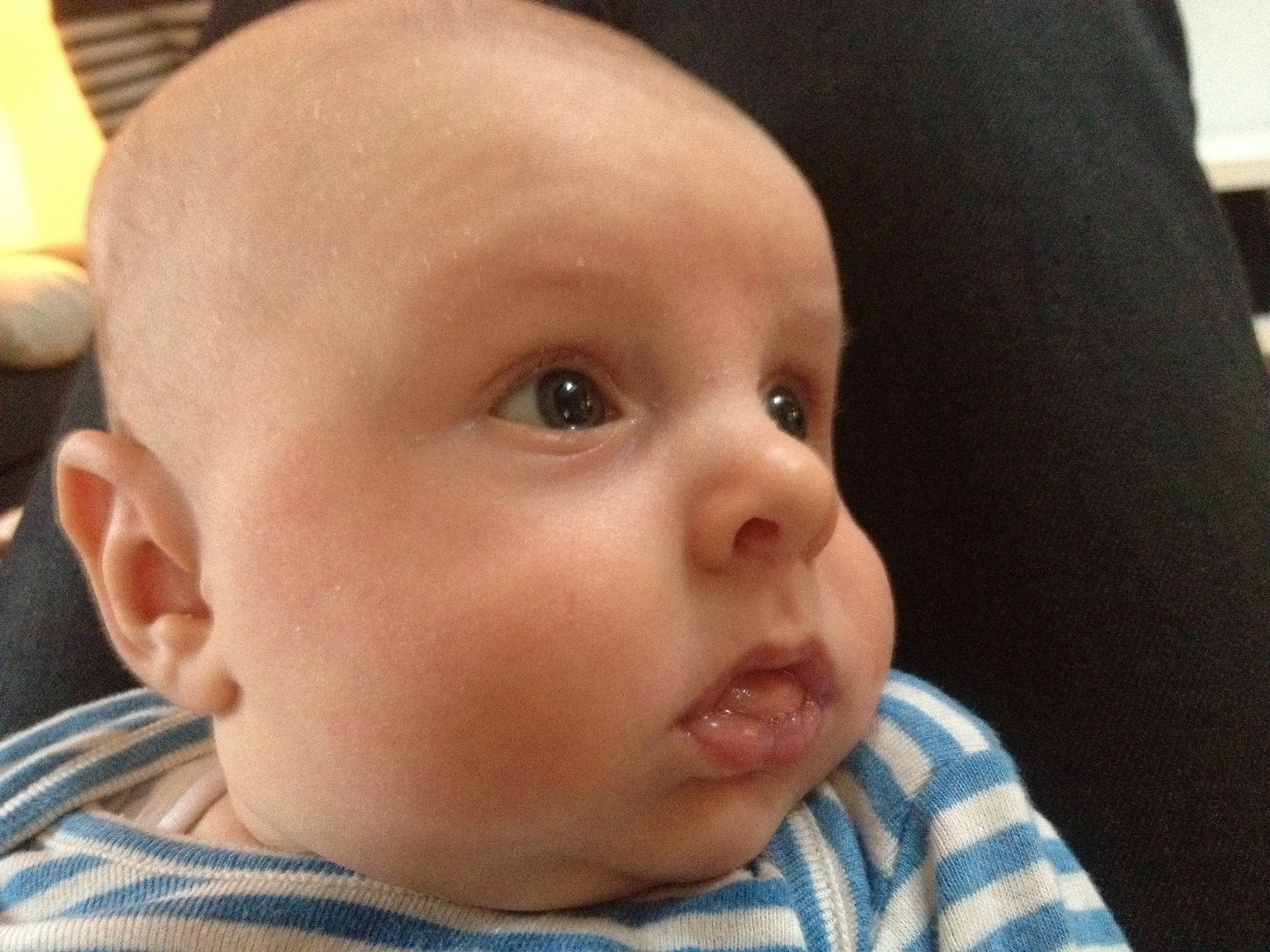 Jacob elsker vinduer.