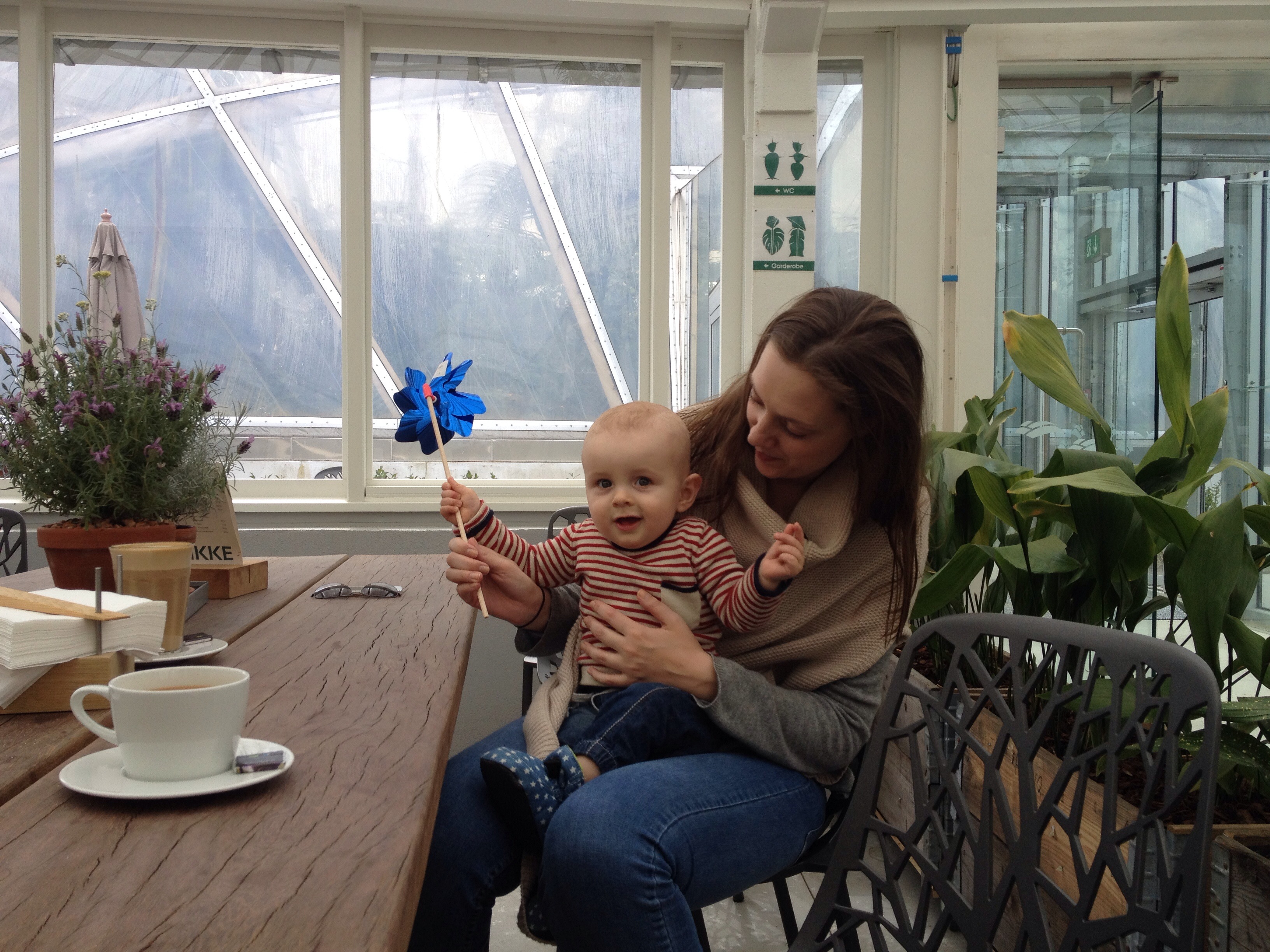 Café i botanisk have.