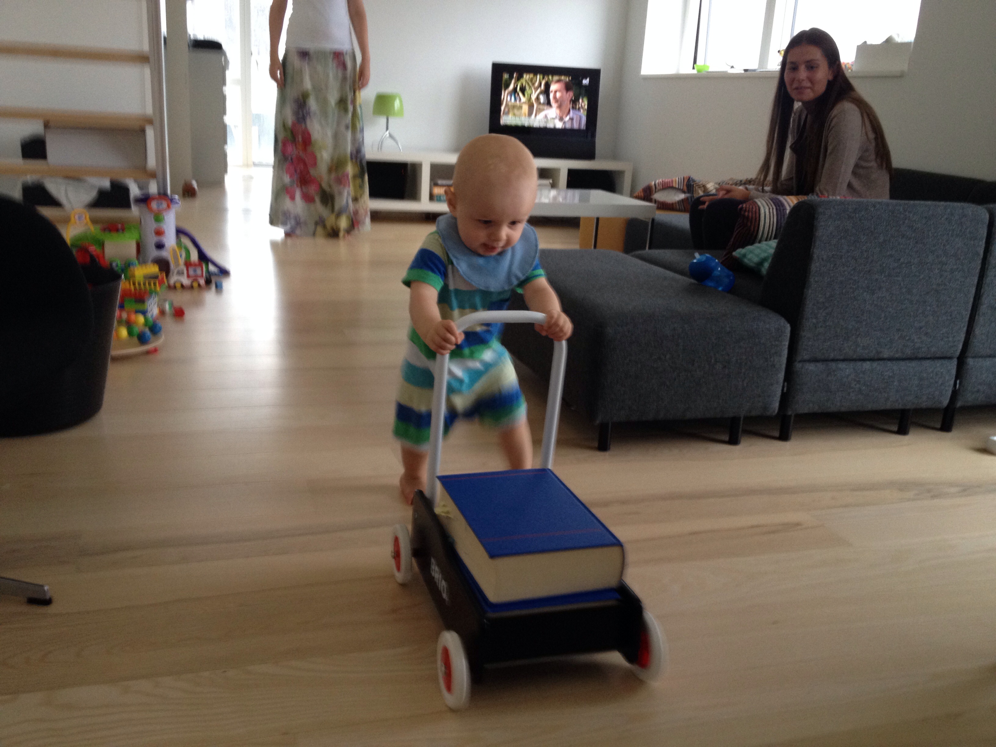Jacob og gåvognen.