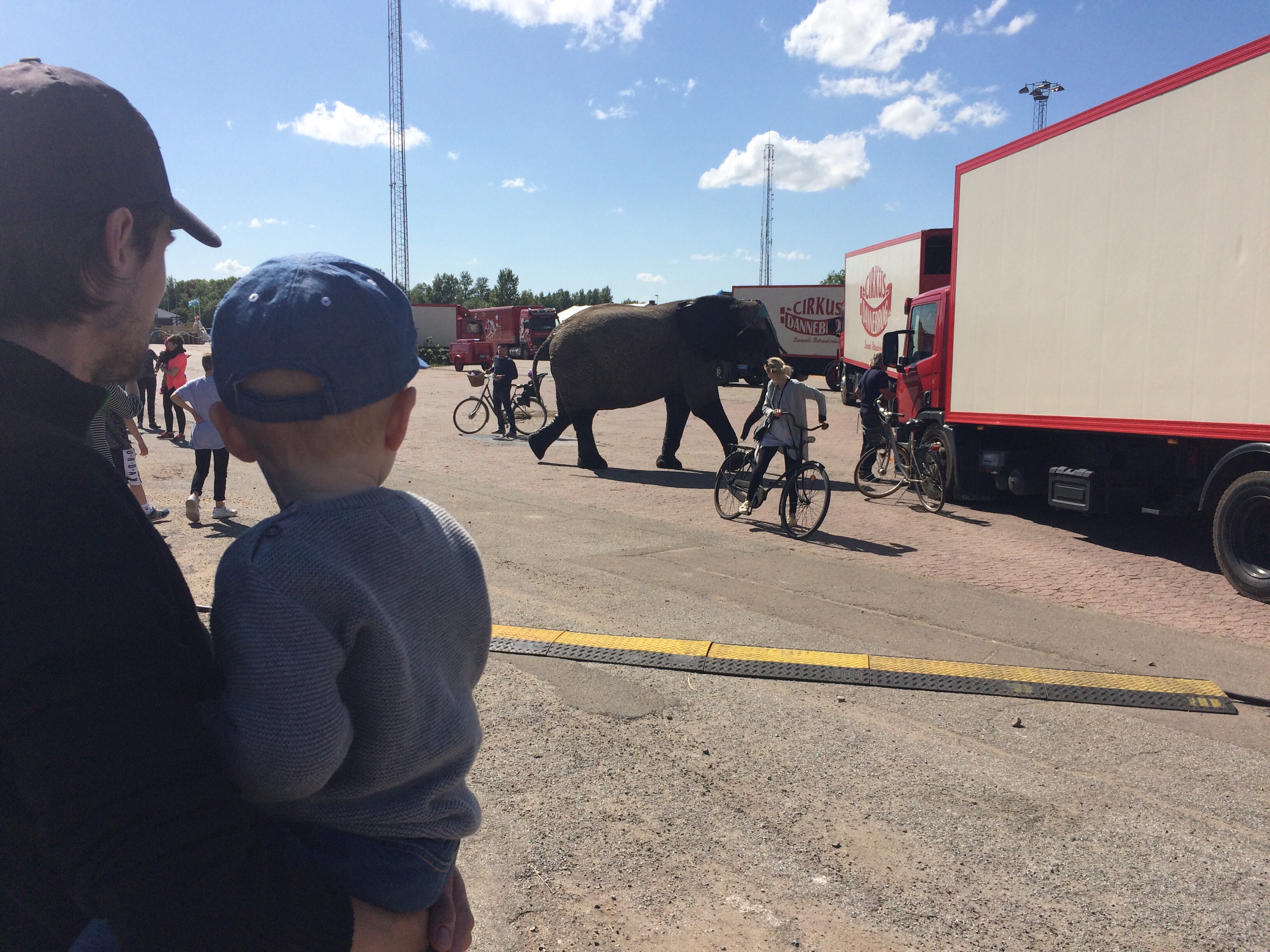 Og så var der lige en elefant.