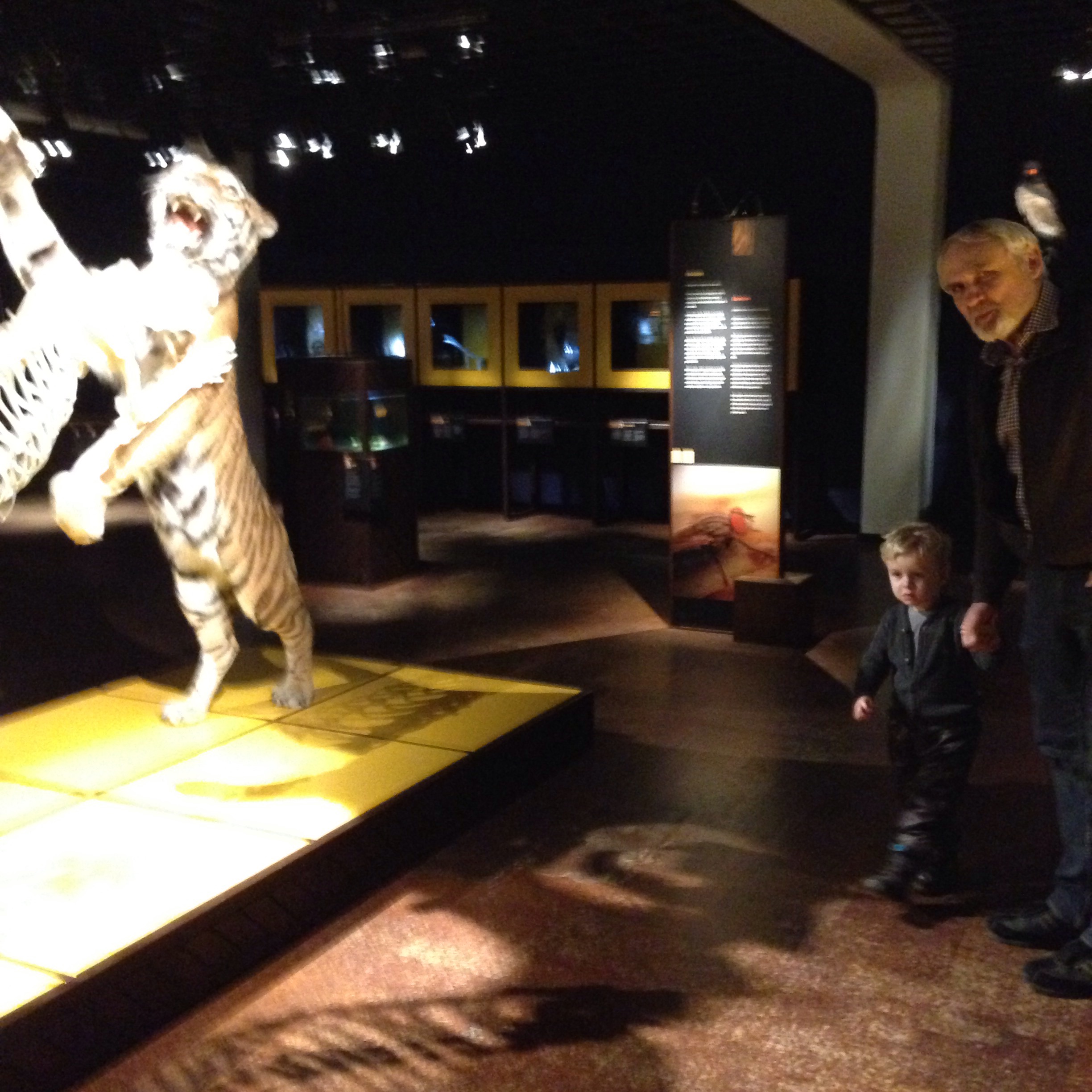 På Naturhistorisk Museum.