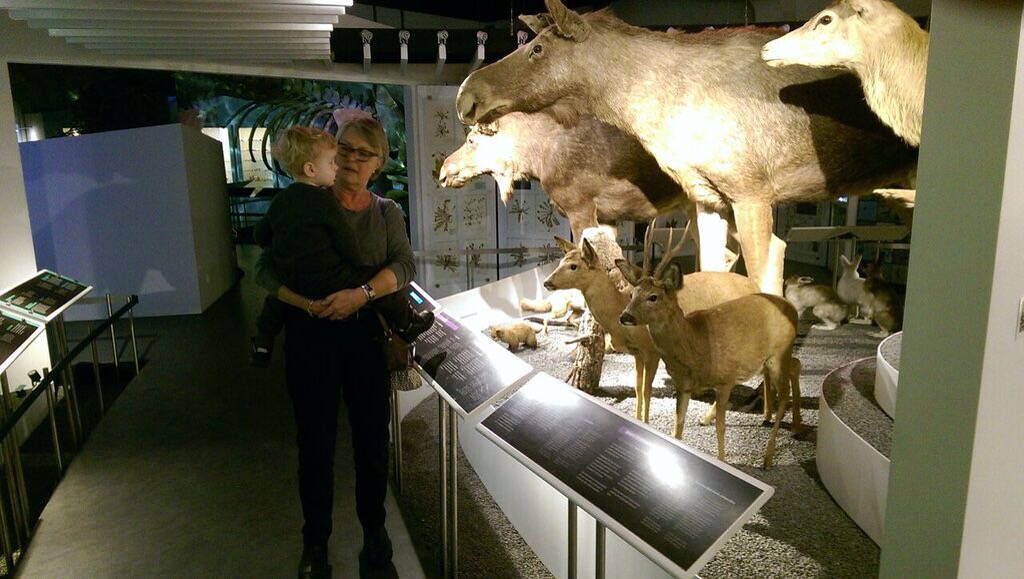 På Naturhistorisk Museum.