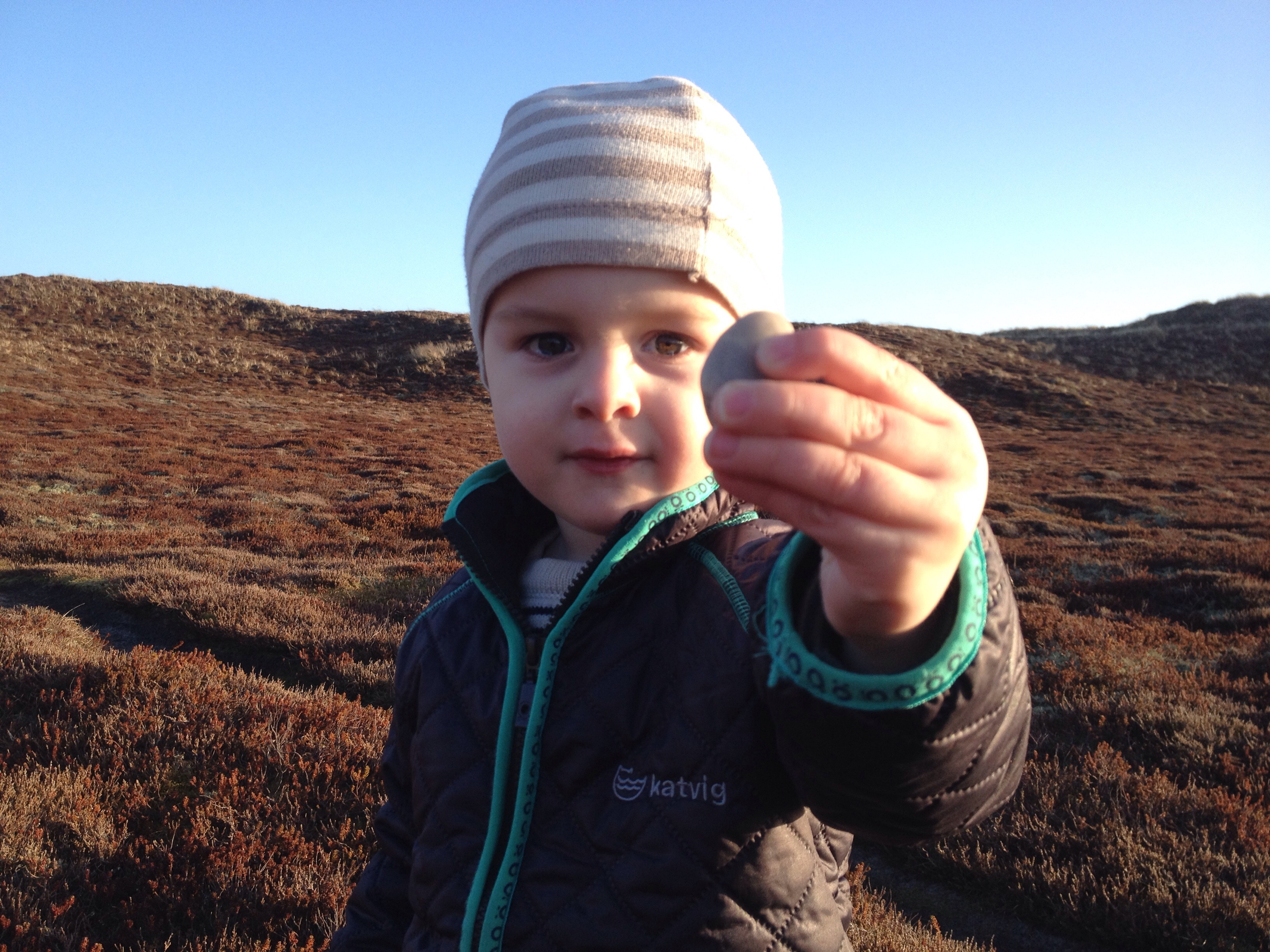 Sommerhuset ved Hvide Sande.