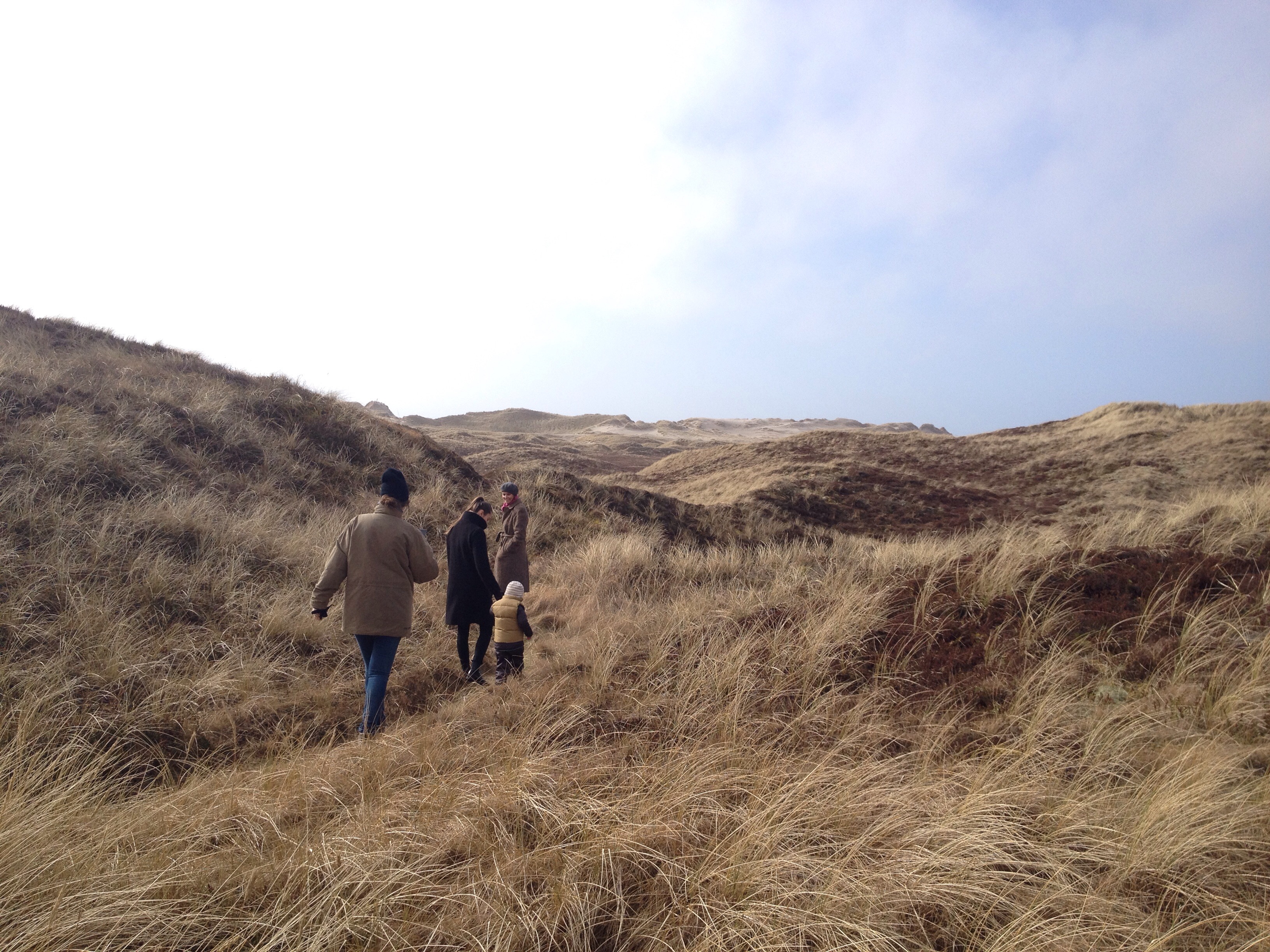 Sommerhuset ved Hvide Sande.
