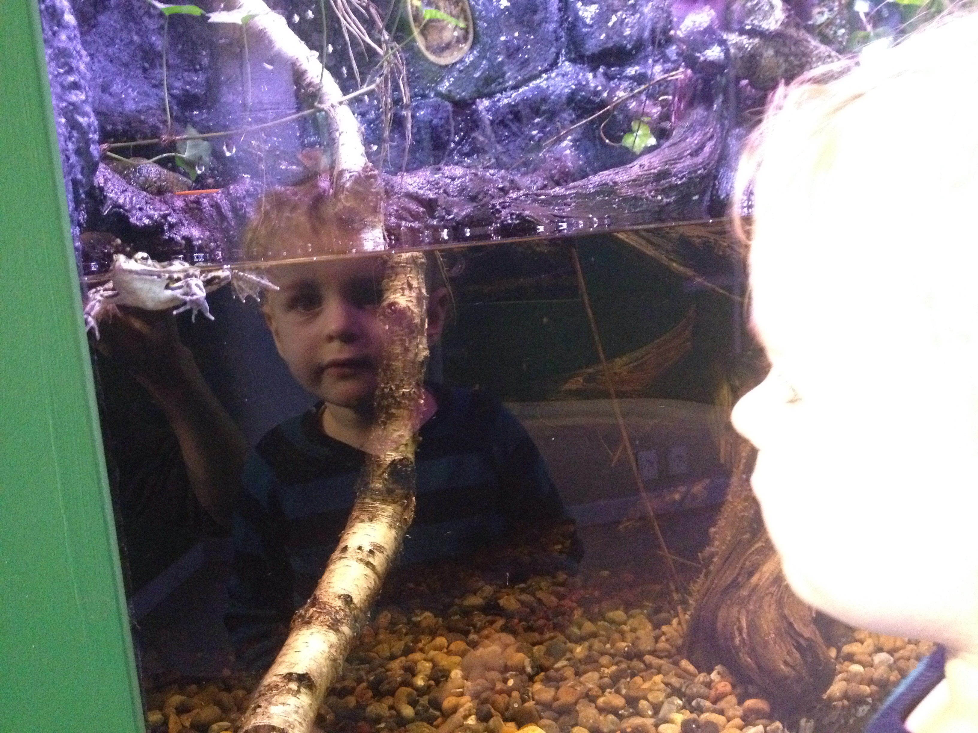 Aqua i Silkeborg.