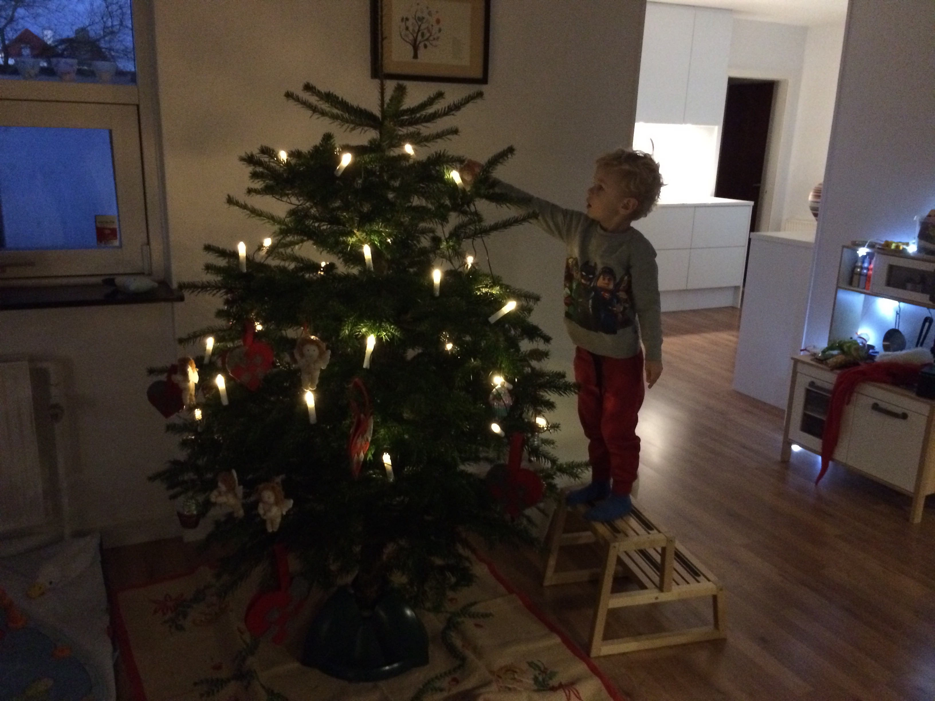 Juletræ.