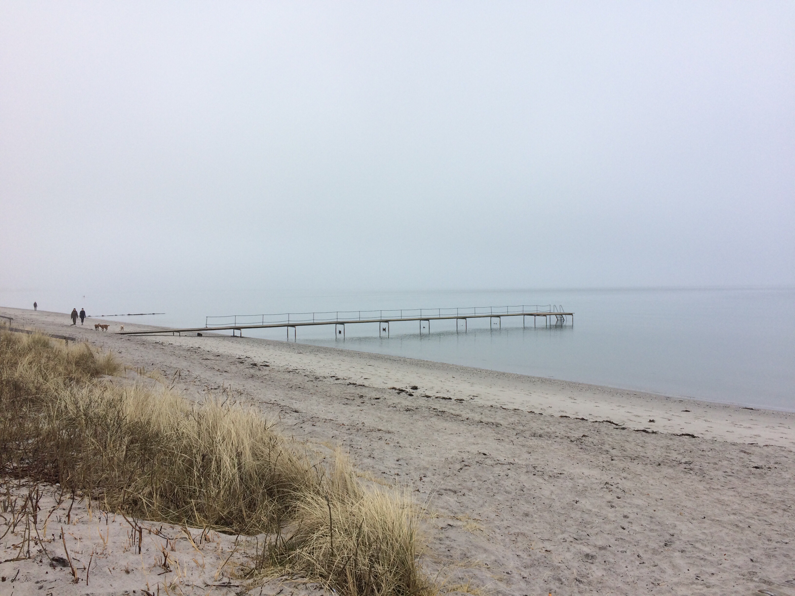 Bellevue strand.