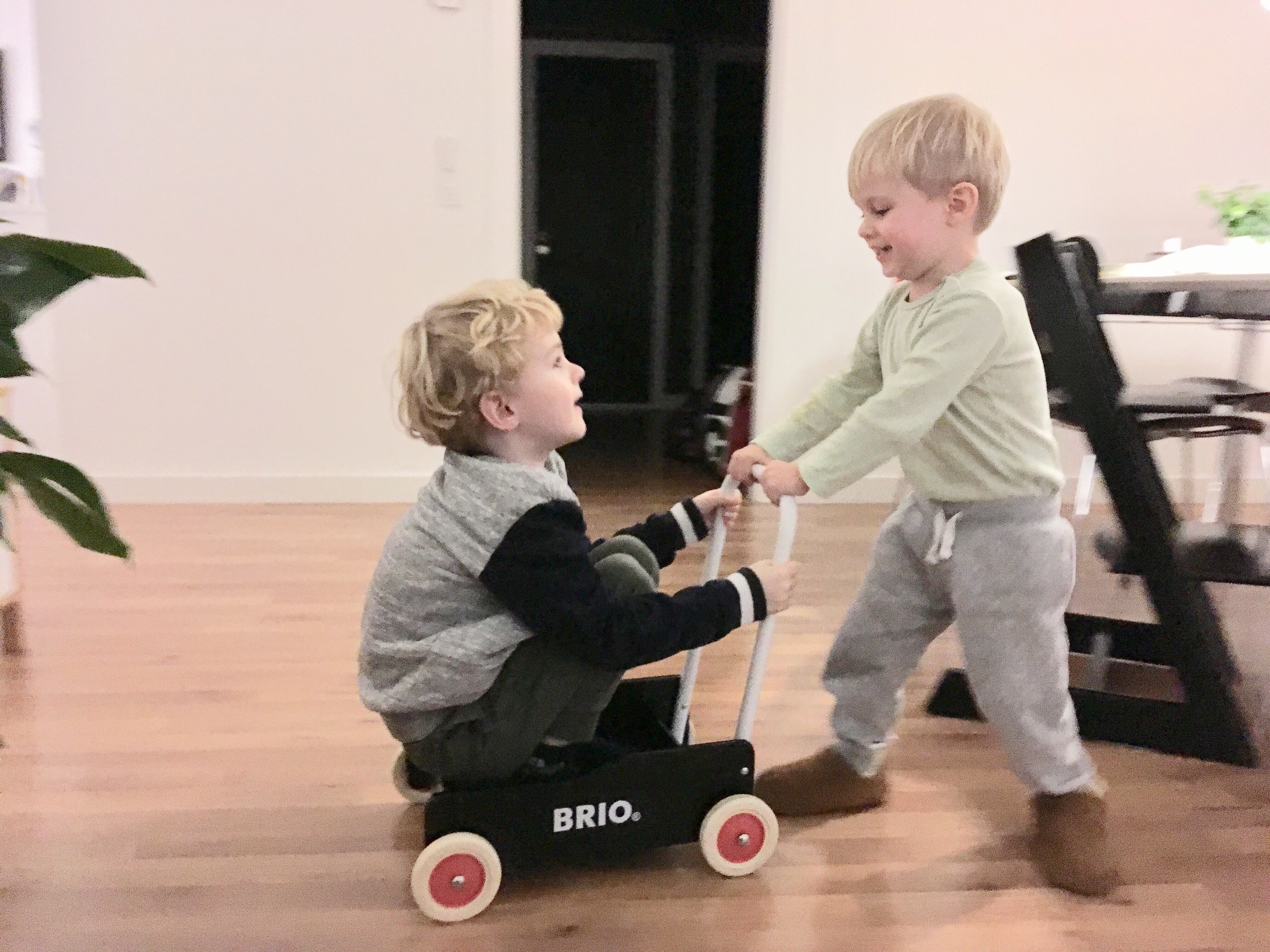 Jacob og Emil.