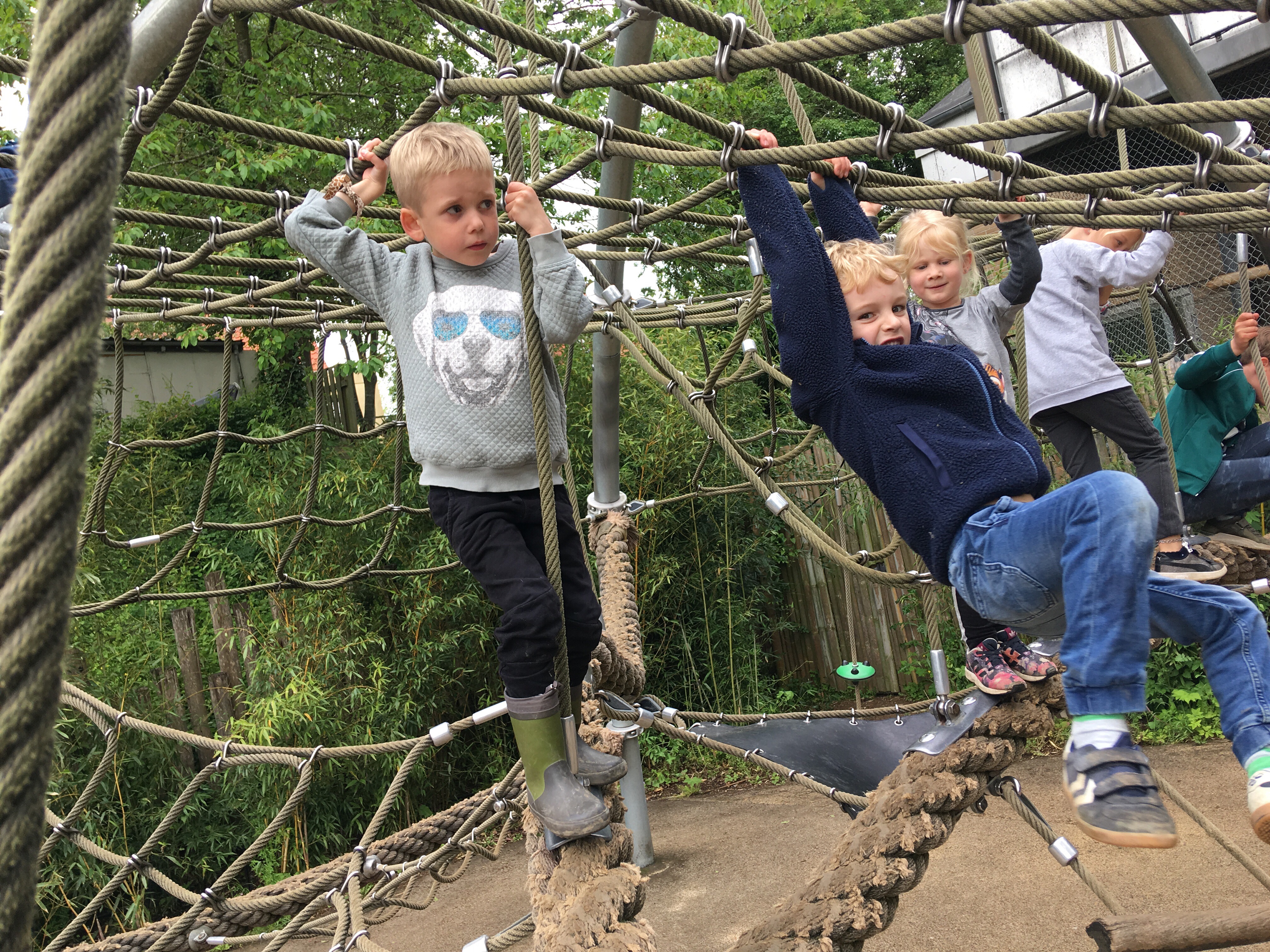 Odense ZOO.