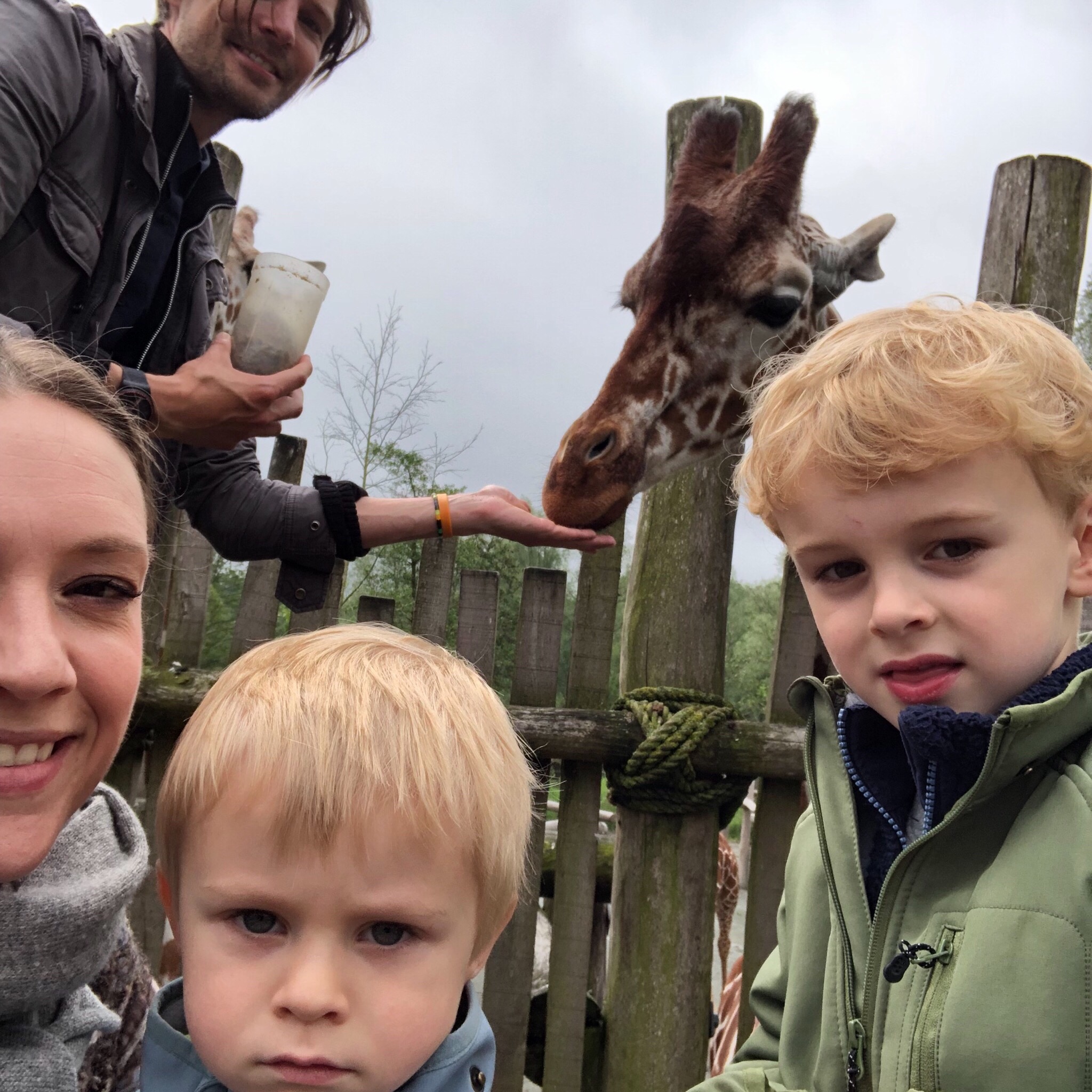 Odense ZOO.