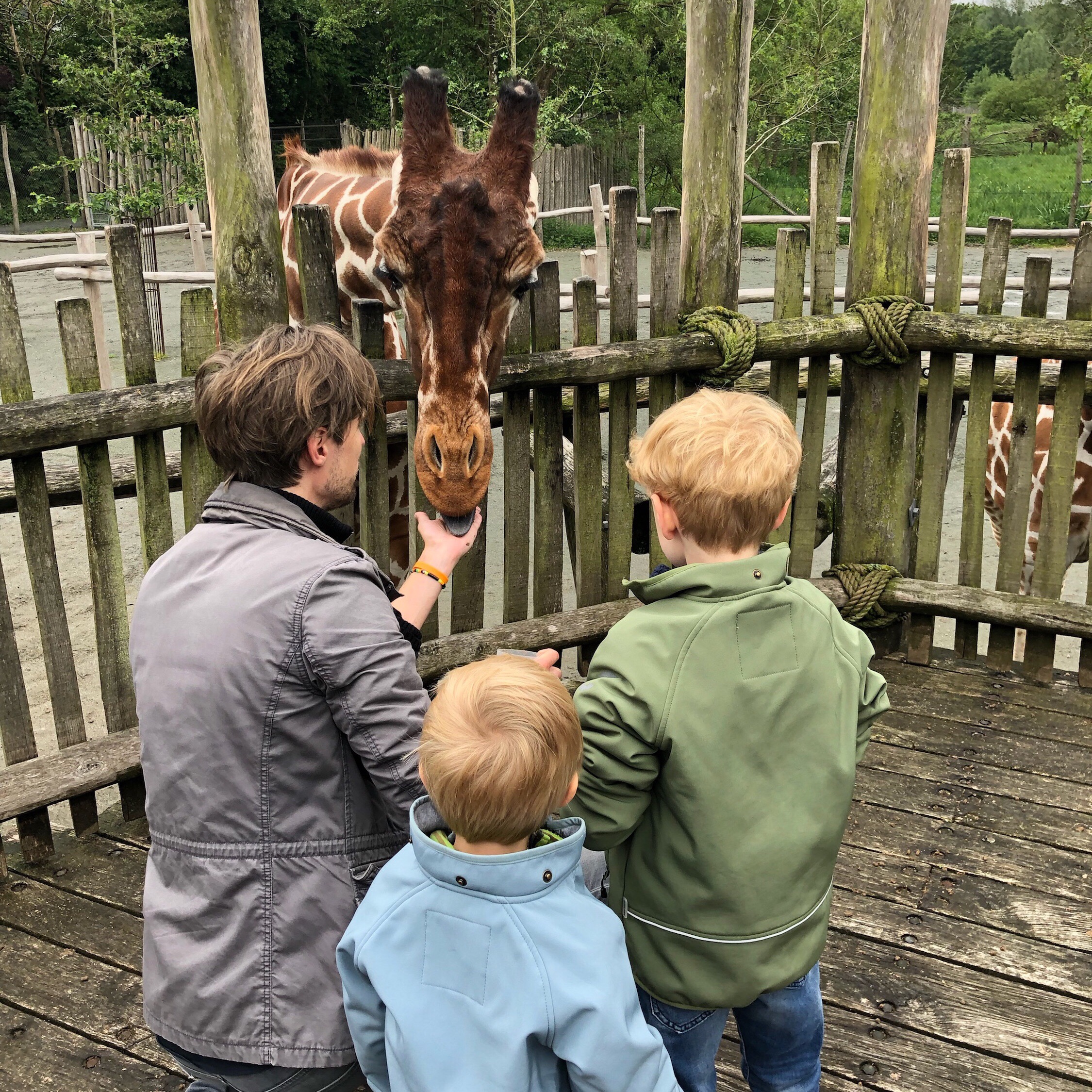 Odense Zoo.