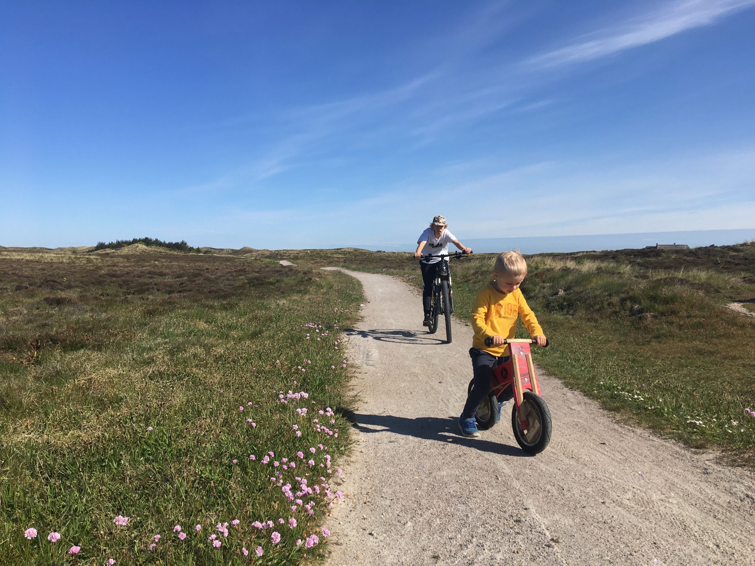 Sommerhus.