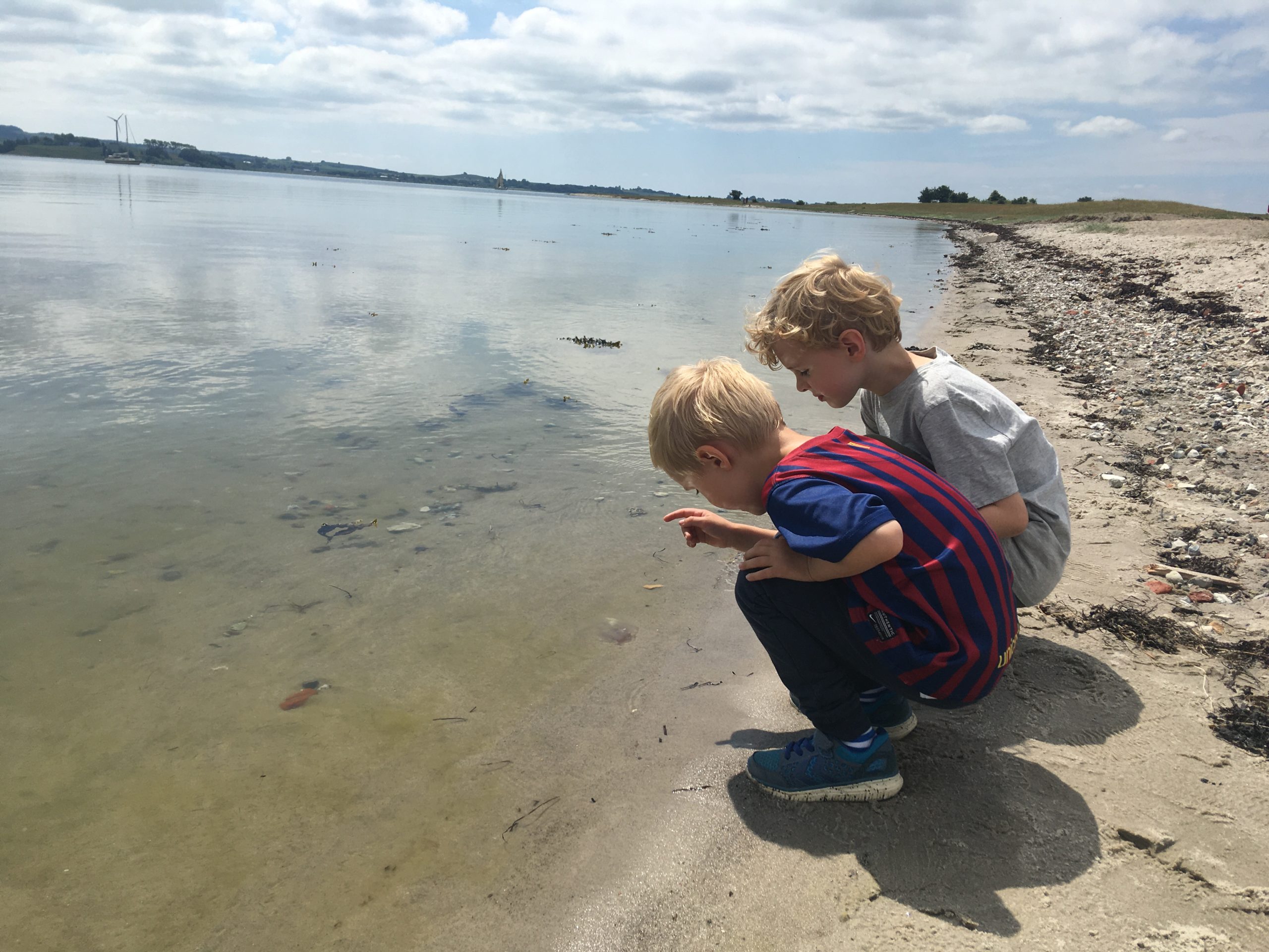 Kalø Slotsruin.