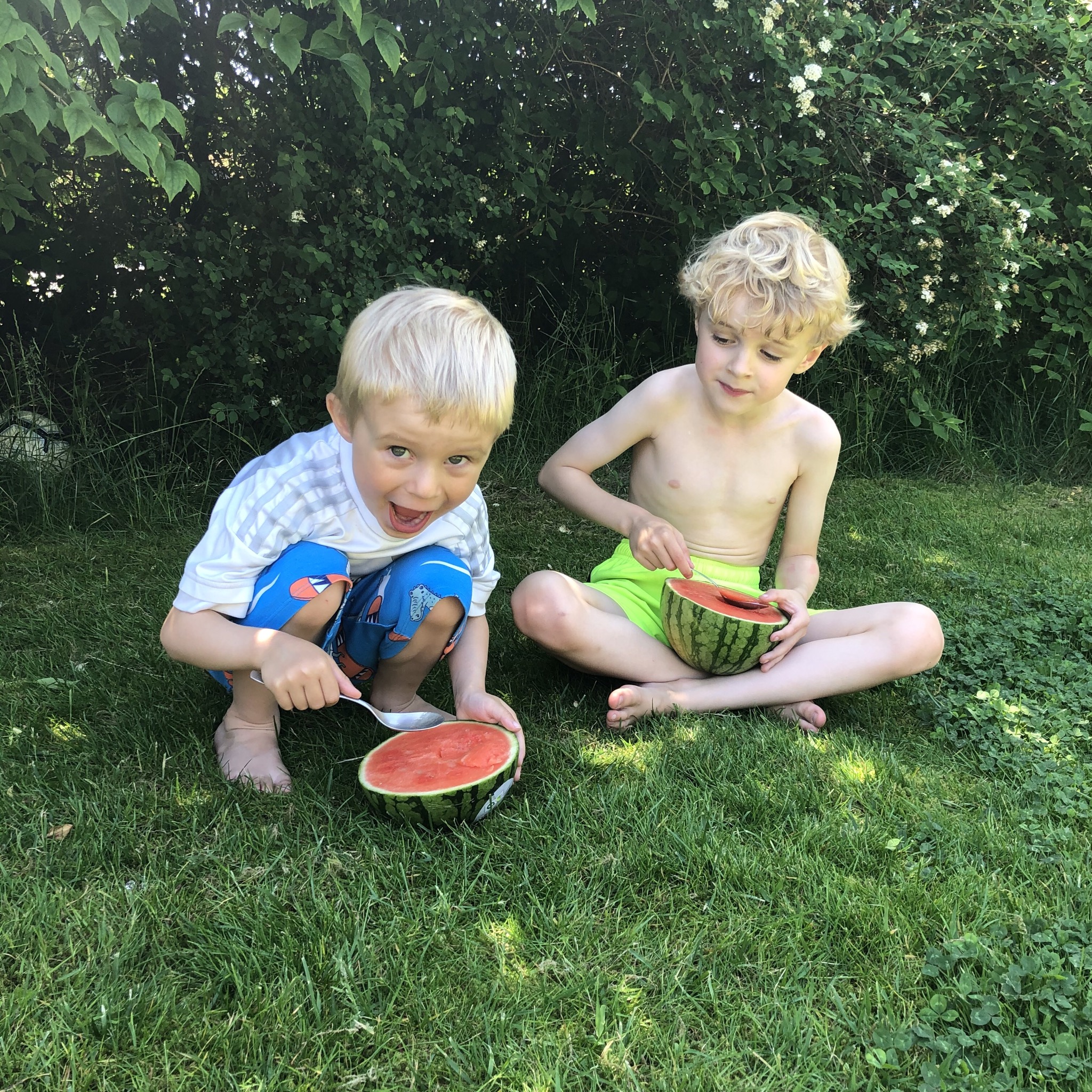 Vandmelon.