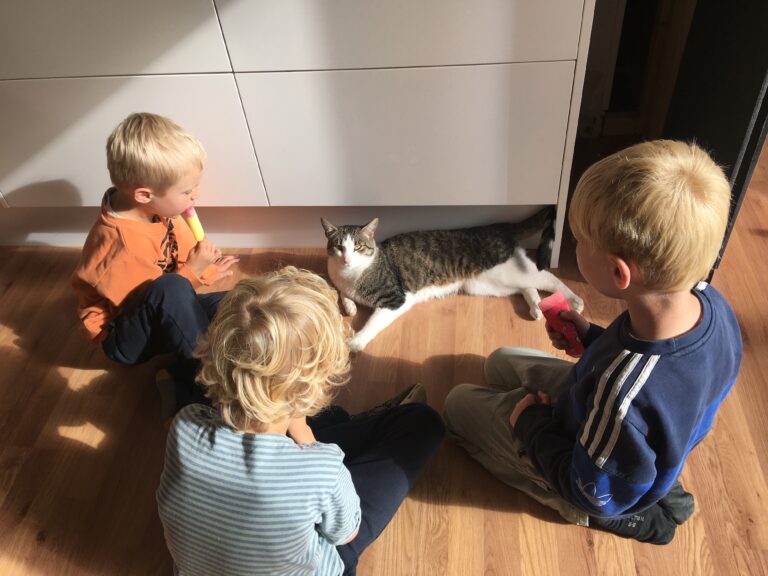 Bølle.