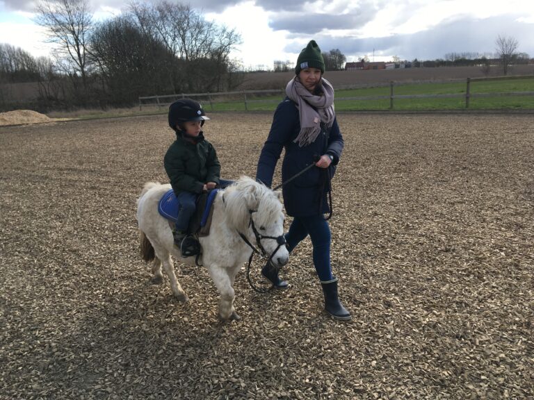 Pony.