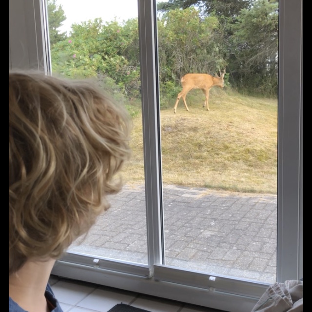 Zoo…