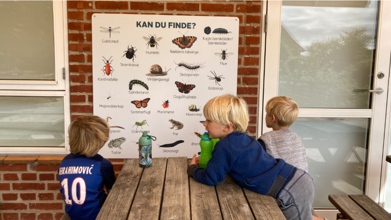 Alsvej.