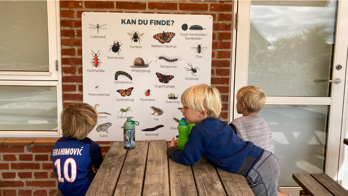Alsvej.