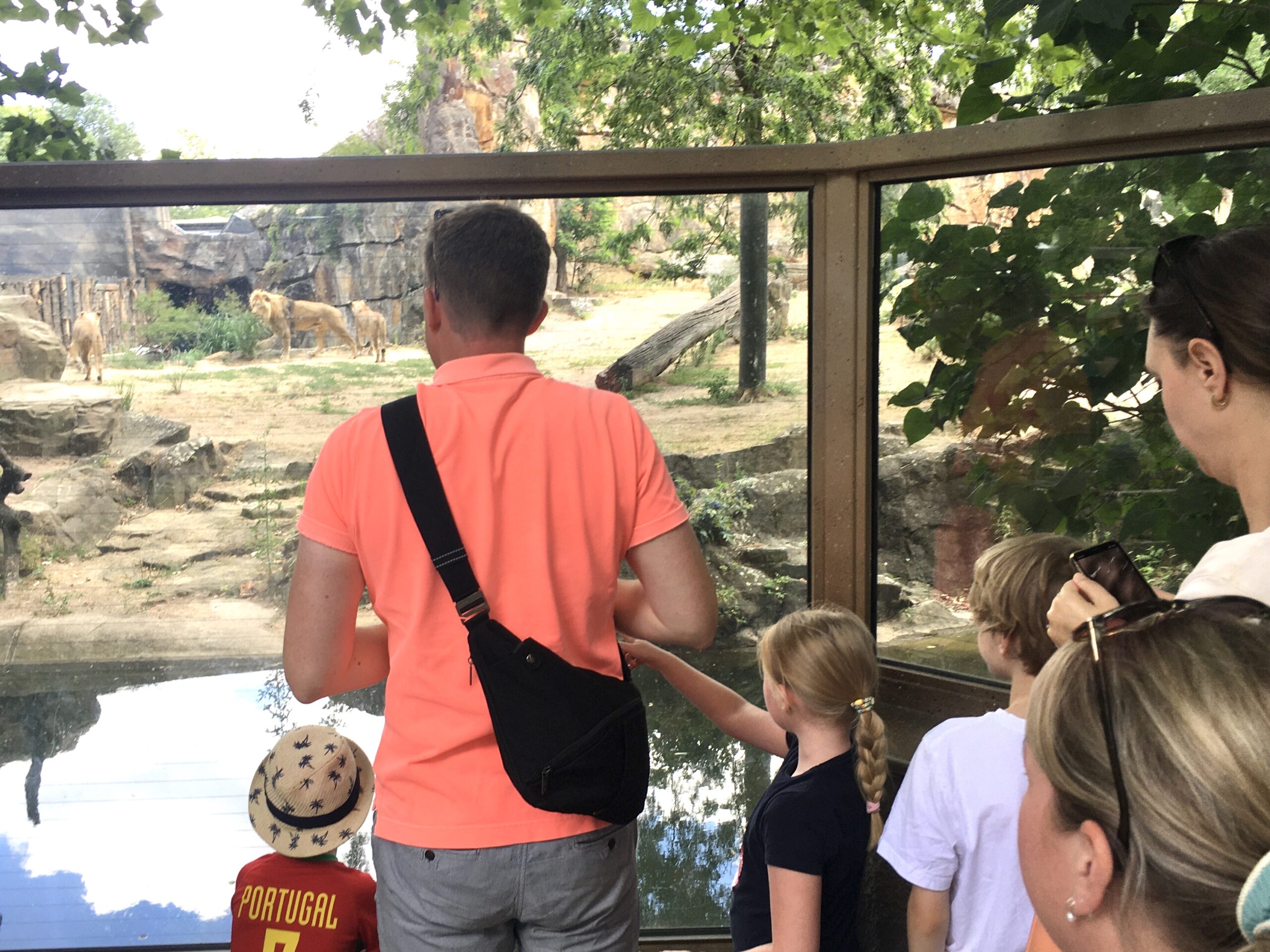 Berlin zoo.