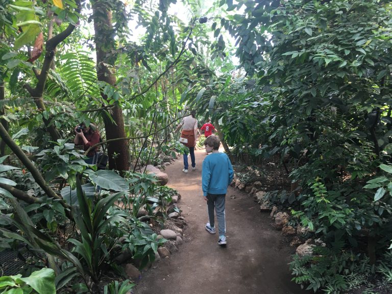 Botanisk Have.