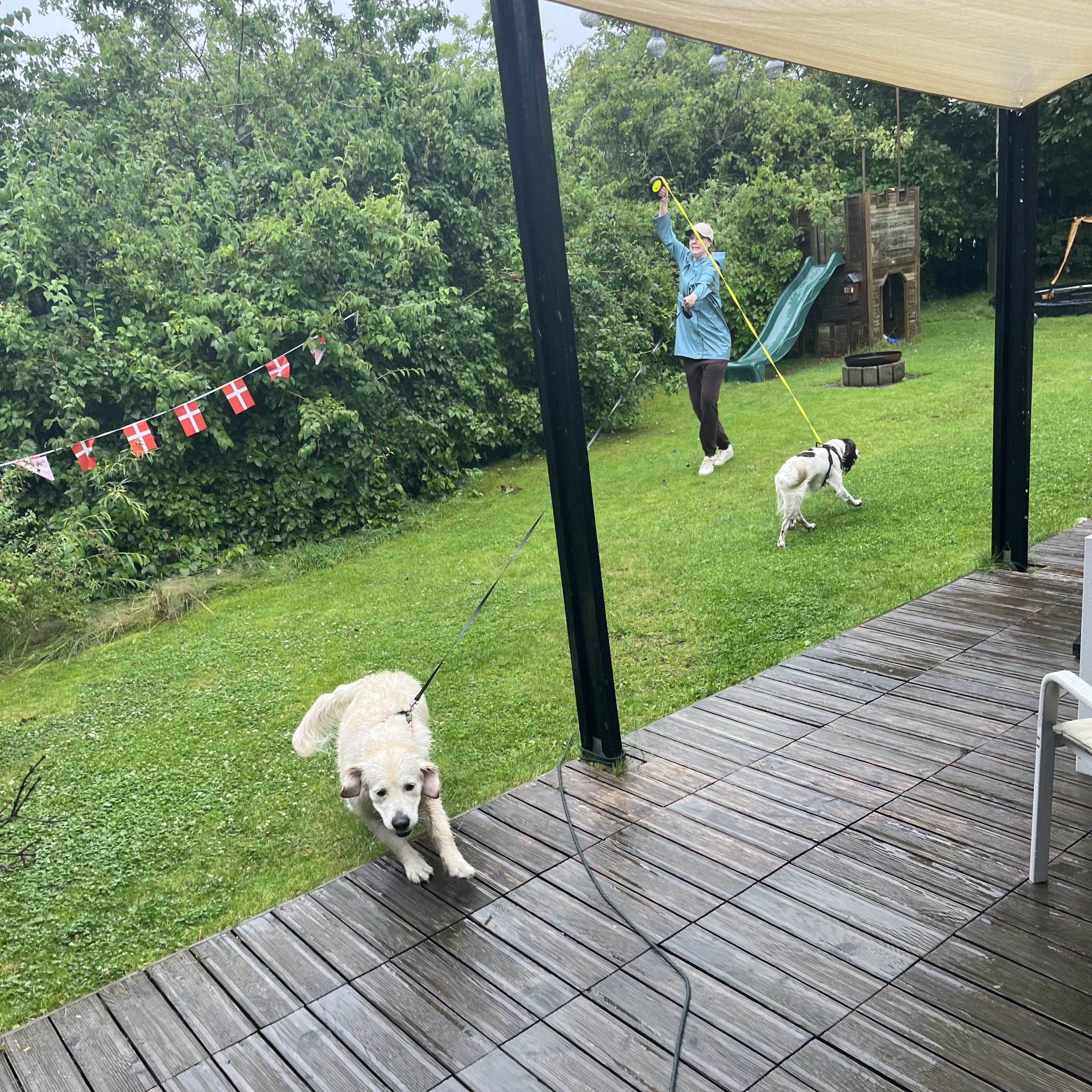 Dumle og Sally.